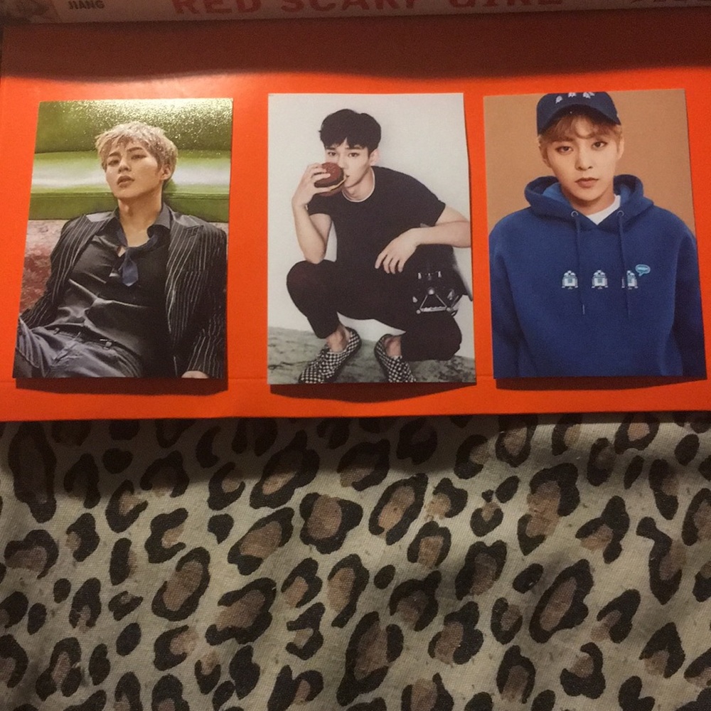 Exo Mini Photocards